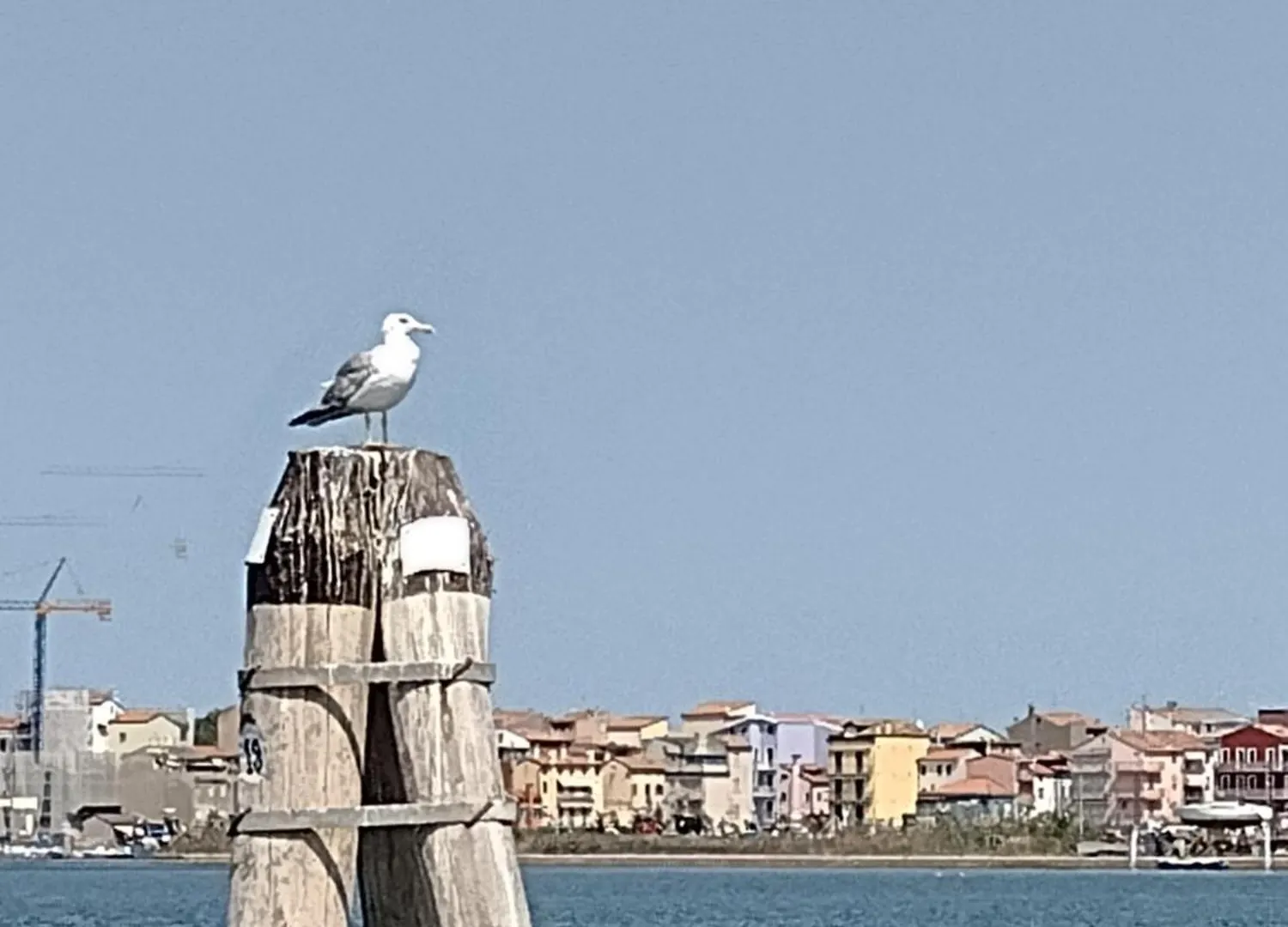 Casa Della Nonna Apartment Chioggia Italy
